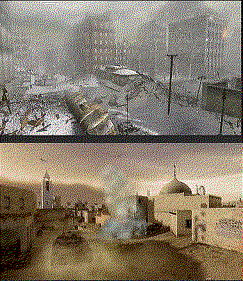 Call of Duty 2 - if you haven't figured that clicking on images on the blog gives you the original, now it's time...