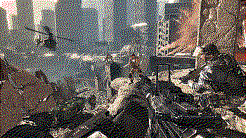 Another screenshot.