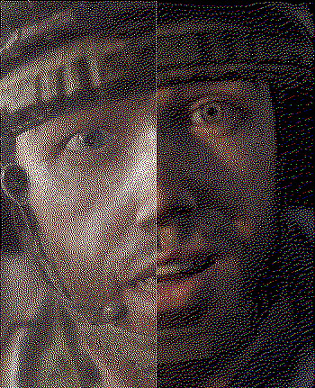 Same CODs - gen 3/gen 4.