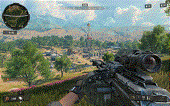 COD:BO4 "Blackout" battle royale.