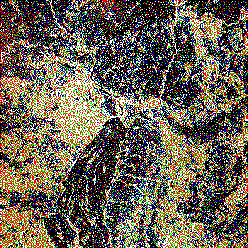 This I think was from actual game terrain data.