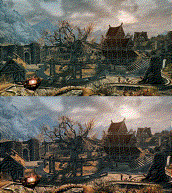 Asking a "local" qwen edit instance (4080 16gb) to upgrade lighting.