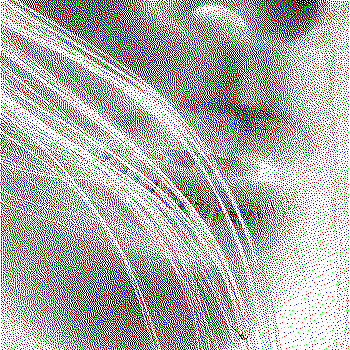 Photography (detail).